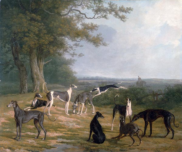 Nine Greyhounds in a Landscape, c.1807 by Jacques-Laurent Agasse | Painting Reproduction