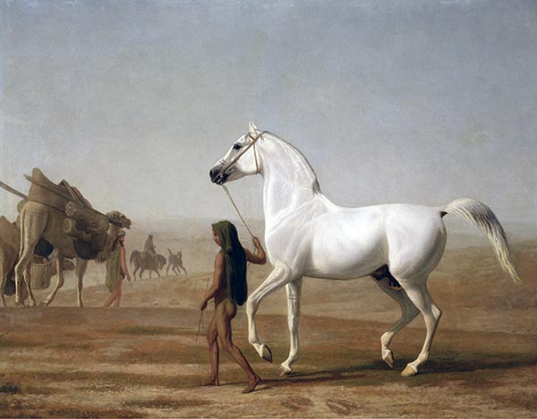 The Wellesley Grey Arabian Led through the Desert, c.1810 by Jacques-Laurent Agasse | Painting Reproduction