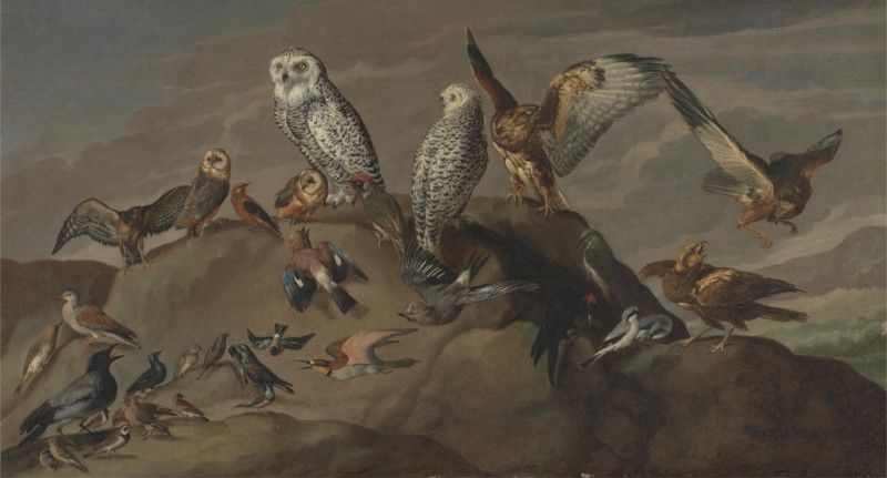 Vogelstudien, c.1840 | Jacques-Laurent Agasse
