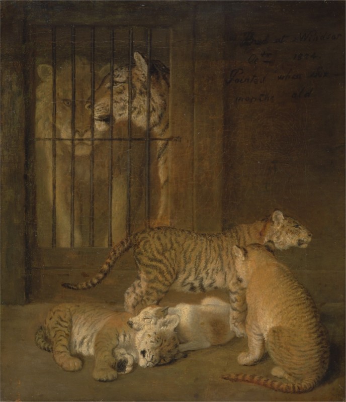 Gruppe von Jungen, gezüchtet zwischen einem Löwen und einer Tigerín, 1825 | Jacques-Laurent Agasse
