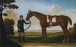 Chestnut Horse with a Groom near Newmarket, c.1730/40 by James Seymour | Painting Reproduction