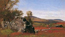 Summer in the Catskills, c.1865 by James McDougal Hart | Painting Reproduction