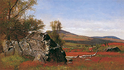 Summer in the Catskills, c.1865 | James McDougal Hart | Gemälde Reproduktion