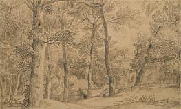 Cottage among Trees, n.d. von Jan Lievens | Gemälde-Reproduktion