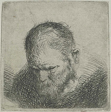 Bearded Man Looking Down, c.1631 | Jan Lievens | Gemälde Reproduktion