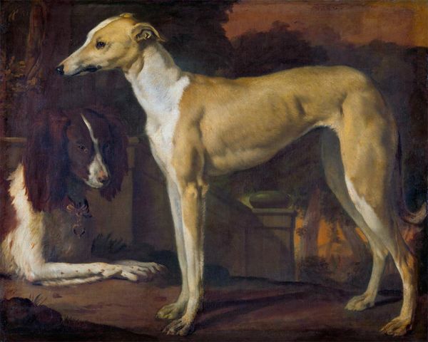 Porträt von Hazewindhond und einem jungen Partridge-Hund | Jan Weenix | Gemälde Reproduktion
