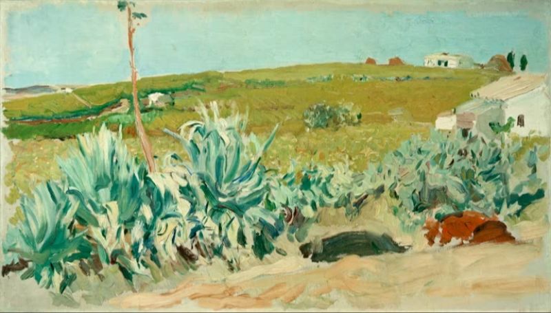 Agaves, Seville, 1914 | Joaquín Sorolla