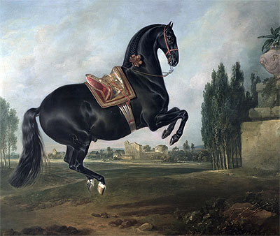 Ein schwarzes Pferd, das das Courbette durchführt, n.d. | Johann Georg Hamilton | Gemälde Reproduktion