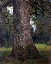 Study of the Trunk of an Elm Tree, c.1821 by Constable | Painting Reproduction