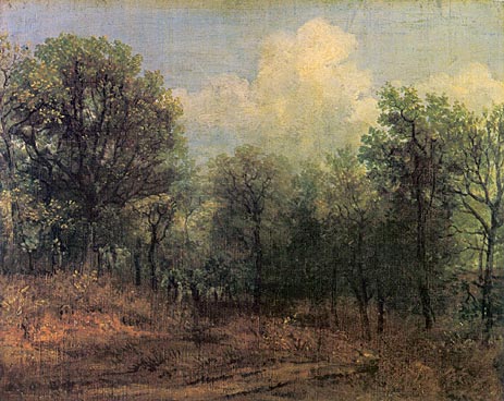 A Wood, c.1802 | Constable | Painting Reproduction