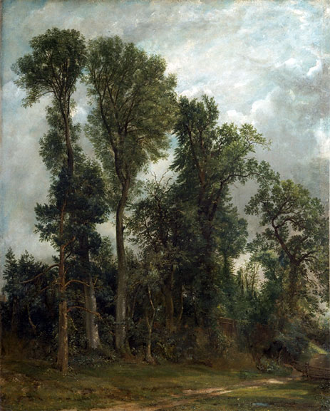 Bäume am Hampstead, 1821 | Constable | Gemälde Reproduktion
