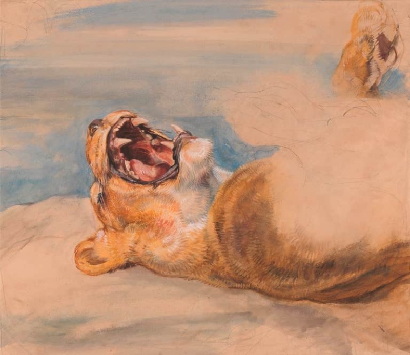 Studie einer Löwin, c.1824 | John Frederick Lewis