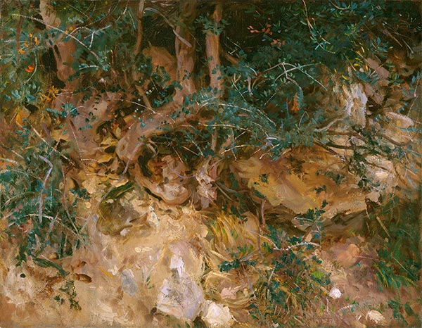 Valdemosa, Majorca: Thistles and Herbage on a Hillside | Sargent | Painting Reproduction