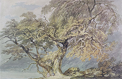 A Great Tree, c.1796 | J. M. W. Turner | Gemälde Reproduktion