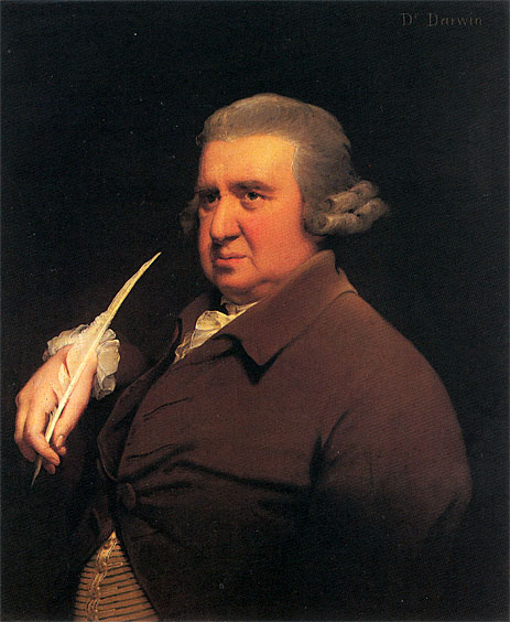 Portrait of Erasmus Darwin, c.1792/93 | Wright of Derby | Painting Reproduction