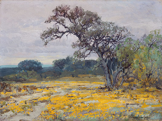Coreopsis in der Nähe von San Antonio, Texas, 1919 | Julian Onderdonk | Gemälde Reproduktion