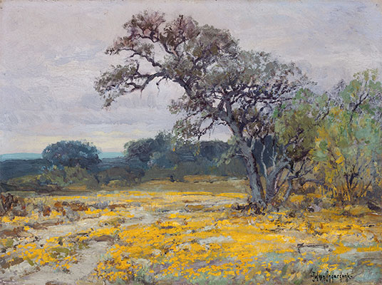 Coreopsis near San Antonio, Texas, 1919 by Julian Onderdonk | Painting Reproduction