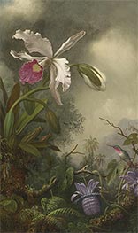 White Orchid and Hummingbird, c.1875/90 by Martin Johnson Heade | Painting Reproduction