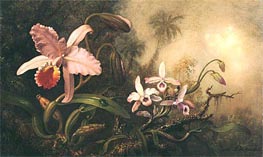 Orchids and a Beetle, c.1885/95 by Martin Johnson Heade | Painting Reproduction