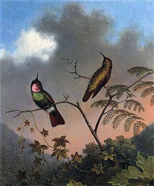 Brazilian Ruby Hummingbirds | Martin Johnson Heade | Painting Reproduction