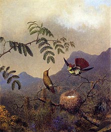 Frilled Coquette, c.1864/65  by Martin Johnson Heade | Painting Reproduction
