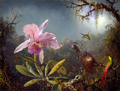 Cattleya Orchid and Three Brazilian Hummingbirds - Martin Johnson Heade