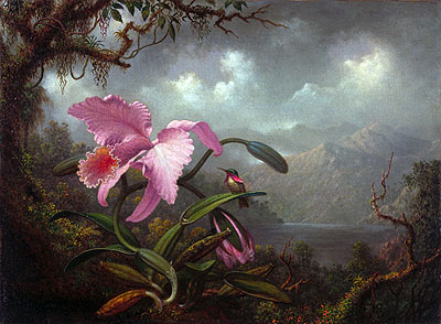 Orchid and Hummingbird, c.1885 by Martin Johnson Heade | Painting Reproduction