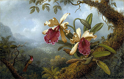 Orchids and Hummingbird, c.1875/83 by Martin Johnson Heade | Painting Reproduction