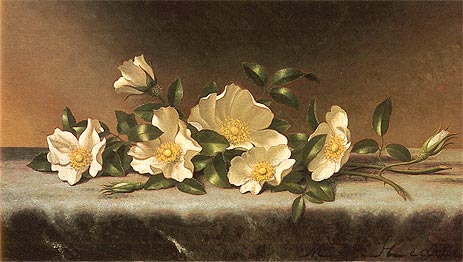 Cherokee Roses On A Light Gray Cloth, undated | Martin Johnson Heade | Painting Reproduction
