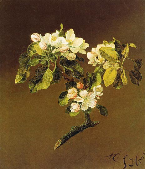 A Spray of Apple Blossoms, 1870 | Martin Johnson Heade | Gemälde Reproduktion