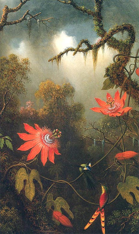 Two Hummingbirds Perched on Passion Flower Vines, c.1870/83 by Martin Johnson Heade | Painting Reproduction