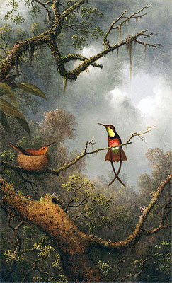 Crimson Topaz Hummingbirds Nesting in a Tropical Forest, c.1870/83 by Martin Johnson Heade | Painting Reproduction