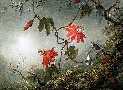 Passion Flowers and Hummingbirds, c.1870/83 | Martin Johnson Heade | Painting Reproduction