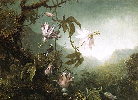Hummingbird Pearched near Passion Flowers, c.1870 | Martin Johnson Heade | Painting Reproduction