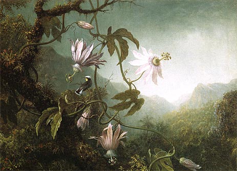 Hummingbird Pearched near Passion Flowers, c.1870 by Martin Johnson Heade | Painting Reproduction