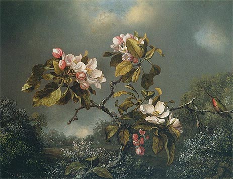 Apple Blossoms and Hummingbird, 1871 | Martin Johnson Heade | Painting Reproduction