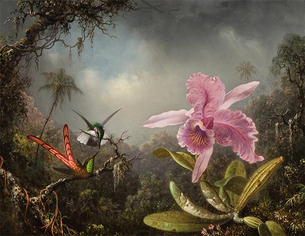 Orchid with Two Hummingbirds, 1871 by Martin Johnson Heade | Painting Reproduction