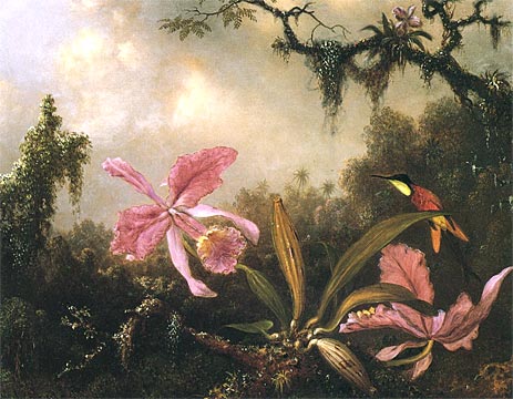 Orchids and Crimson Topaz Hummingbird, 1871 by Martin Johnson Heade | Painting Reproduction