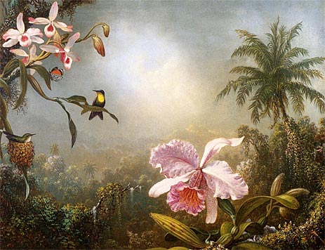 Orchids, Nesting Hummingbirds and a Butterfly, 1871 | Martin Johnson Heade | Painting Reproduction