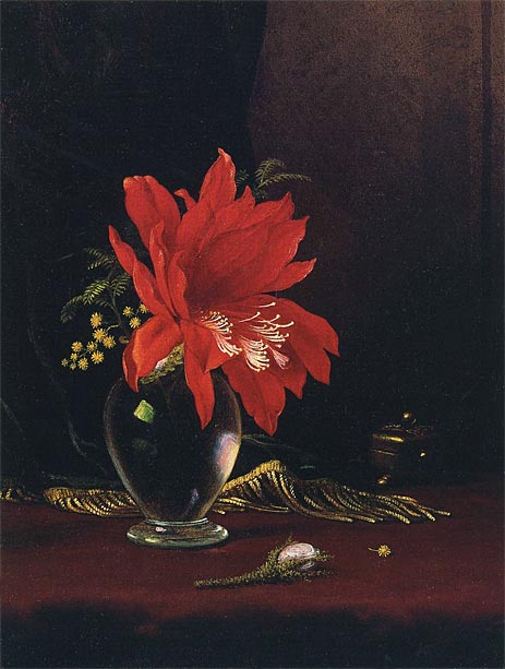 Red Flower in a Vase, c.1871/80 | Martin Johnson Heade | Painting Reproduction