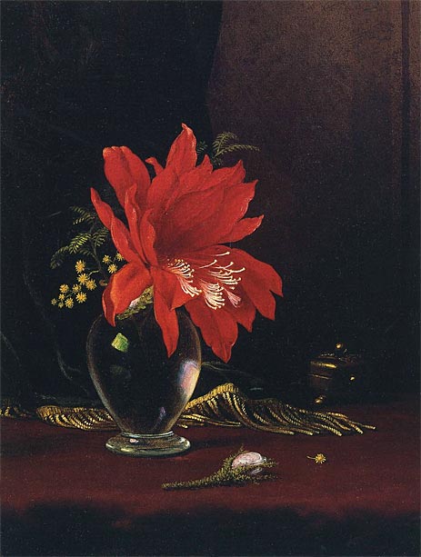 Red Flower in a Vase, c.1871/80 by Martin Johnson Heade | Painting Reproduction