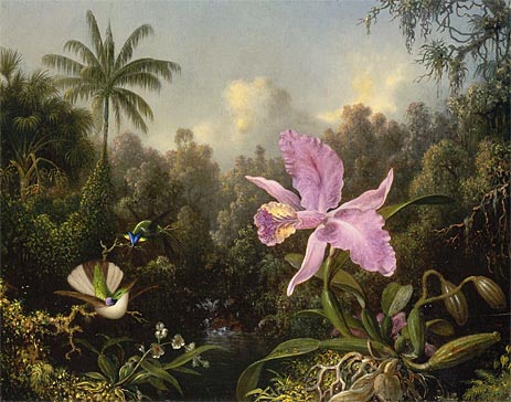 Orchidee und zwei Kolibris, 1872 von Martin Johnson Heade | Gemälde-Reproduktion