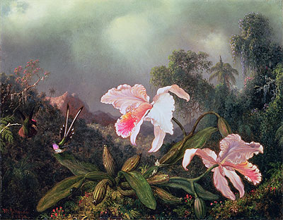 Jungle Orchids and Hummingbirds, 1872 | Martin Johnson Heade | Painting Reproduction