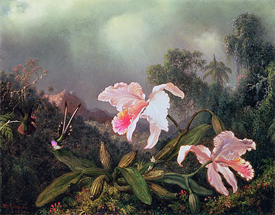 Dschungel-Orchideen und Kolibris, 1872 von Martin Johnson Heade | Gemälde-Reproduktion