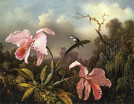 Orchids and Hummingbird, 1872 | Martin Johnson Heade | Painting Reproduction