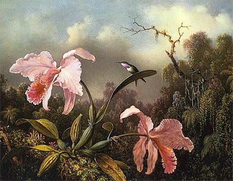 Orchideen und Kolibri, 1872 von Martin Johnson Heade | Gemälde-Reproduktion