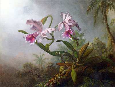 Pink Orchids and Hummingbird on a Twig, 1875 | Martin Johnson Heade | Painting Reproduction