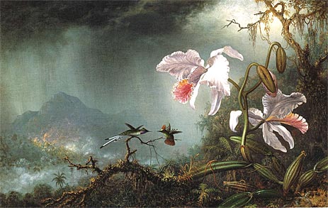 Zwei kämpfende Kolibris mit zwei Orchideen, 1875 von Martin Johnson Heade | Gemälde-Reproduktion