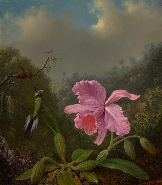 Fighting Hummingbirds with Pink Orchid, c.1875/80 | Martin Johnson Heade | Gemälde Reproduktion