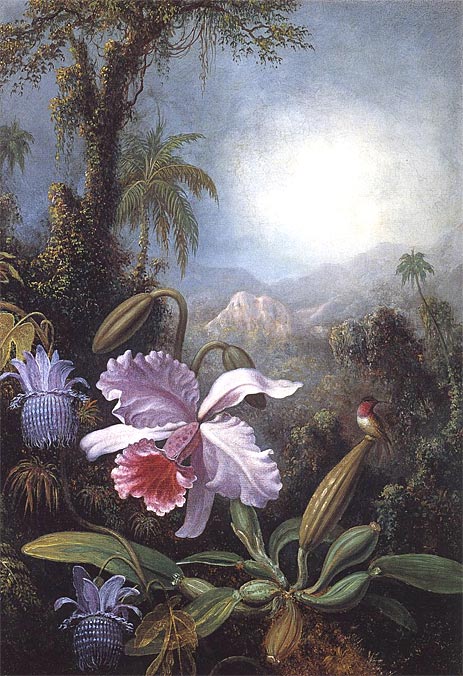 Orchids, Passion Flowers and Hummingbird, c.1875/90 | Martin Johnson Heade | Painting Reproduction